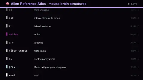 The Mouse Brain In Its Colours screensaver — Each region drawn in its own hex.