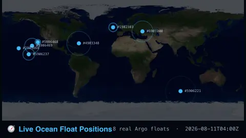Live Ocean Float Positions screensaver — Real drifting ocean sensors, mapped.