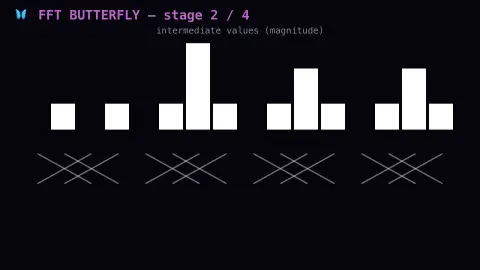 FFT Butterfly Diagram screensaver — A real Fast Fourier Transform, computing live as a butterfly.