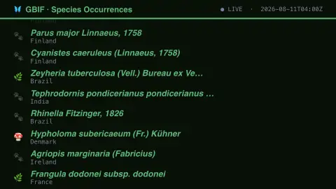 GBIF Species Occurrence Feed screensaver — Real biodiversity records, aggregated worldwide.