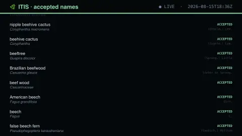 The Names Behind The Names screensaver — A robin is a different bird here.