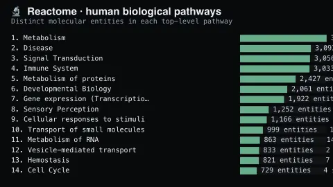 Biological Pathways screensaver — The machinery of a human cell.